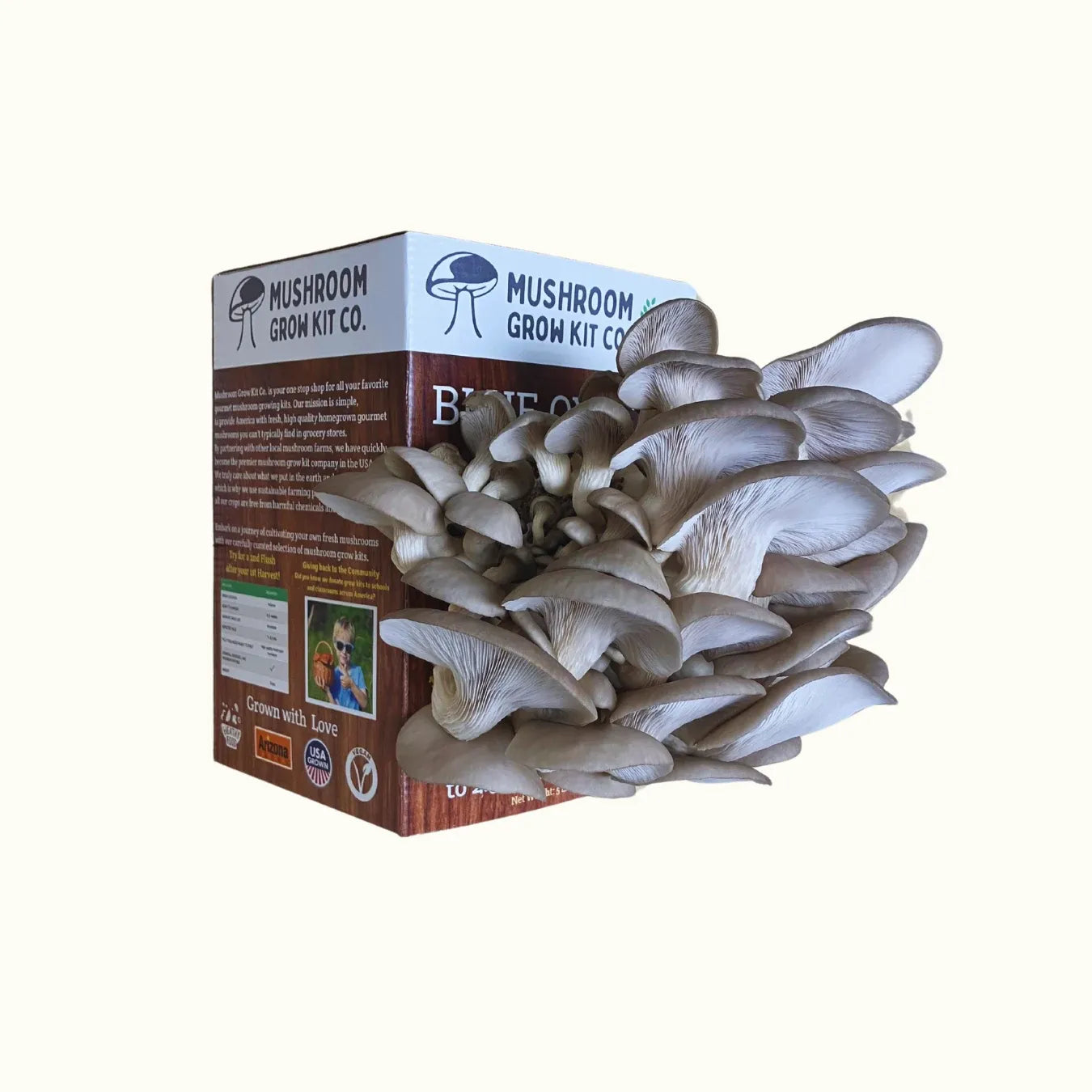 Premium Blue Oyster Mushroom Growing Kit - 5 LBS