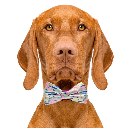 Preppy Pet Floral Dog Bow Tie