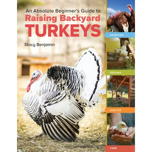 An Absolute Beginner's Guide to Raising Backyard Turkeys: Varieties, Feeding, Shelter, Care