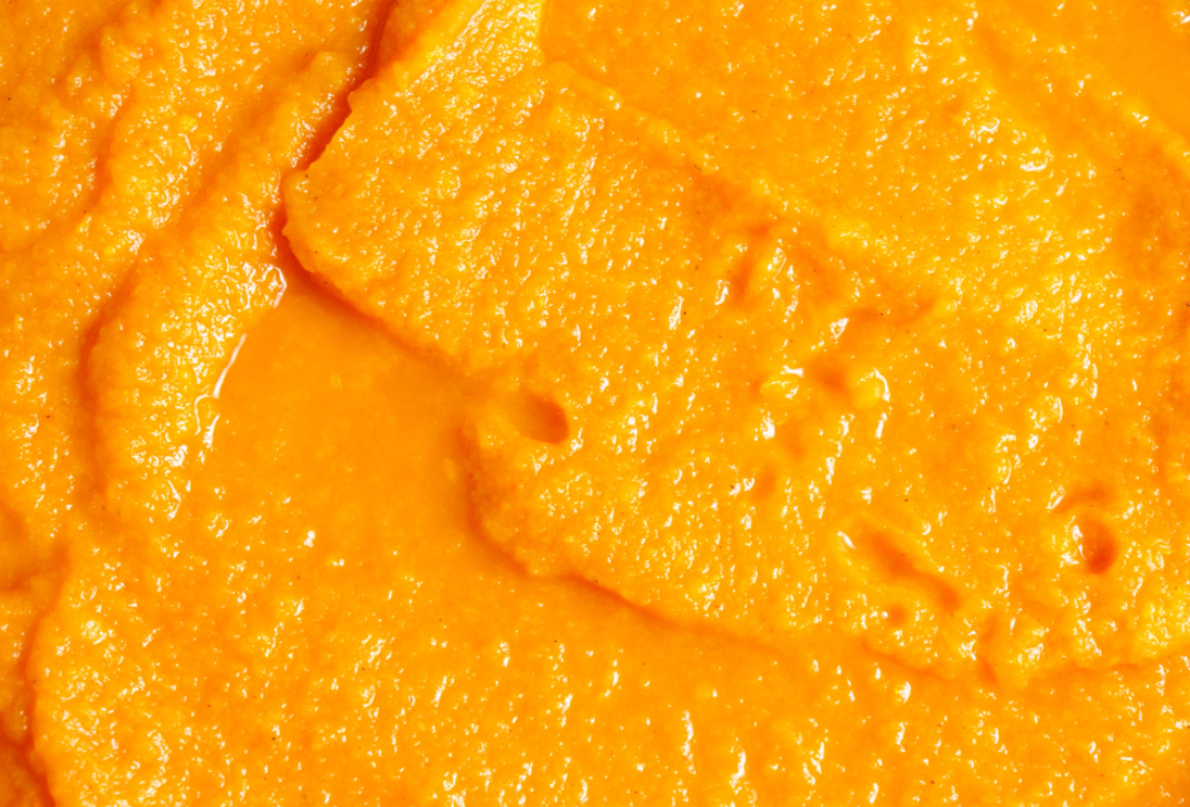 Pumpkin Flavored Yak Cheese Chew - made with REAL PUMPKIN Puree - Single