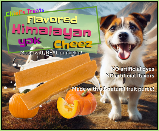 Pumpkin Flavored Yak Cheese Chew - made with REAL PUMPKIN Puree - Single