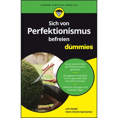 Sich von Perfektionismus befreien für Dummies