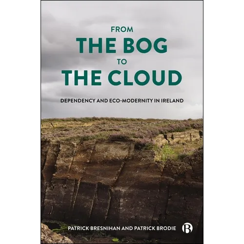From the Bog to the Cloud: Dependency and Eco-Modernity in Ireland