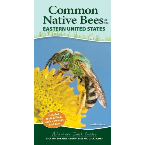 Common Native Bees of the Eastern United States: Your Way to Easily Identify Bees and Look-Alikes