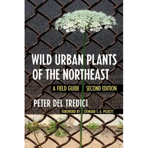 Wild Urban Plants of the Northeast: A Field Guide