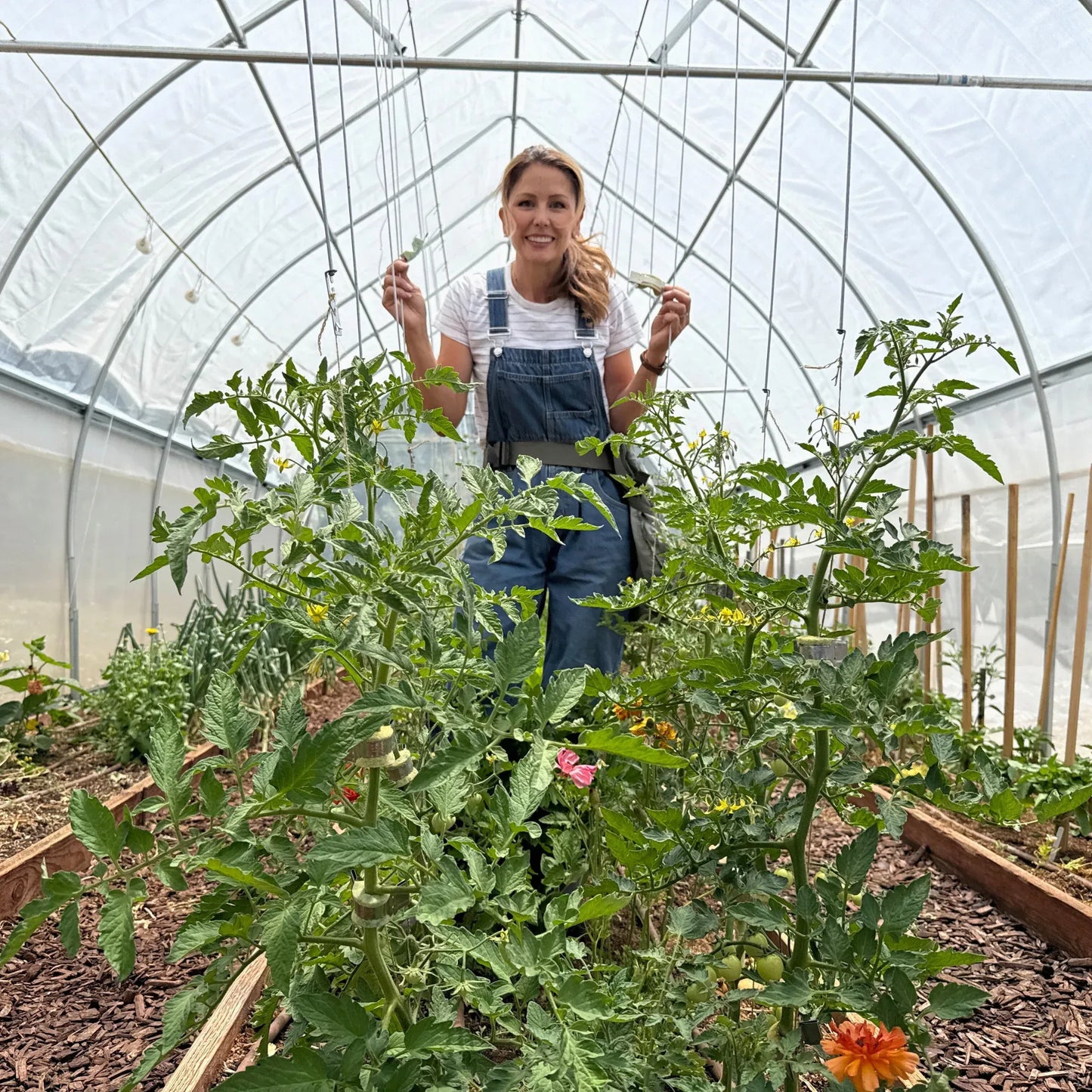 Qlipr Trellising System