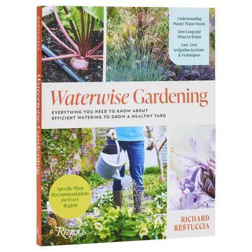 Waterwise Gardening: Everything You Need to Know about Efficient Watering to Grow a Healthy Yard