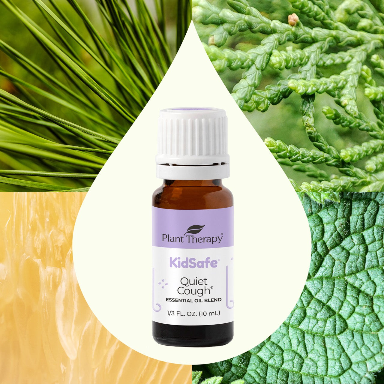 Quiet Cough® KidSafe Essential Oil Blend