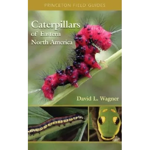 Caterpillars of Eastern North America: A Guide to Identification and Natural History