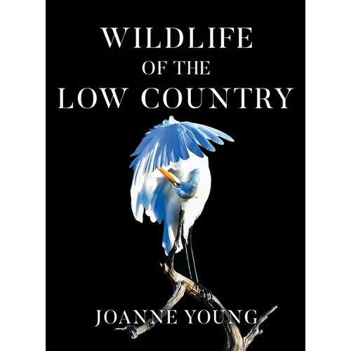 Wildlife of the Low Country