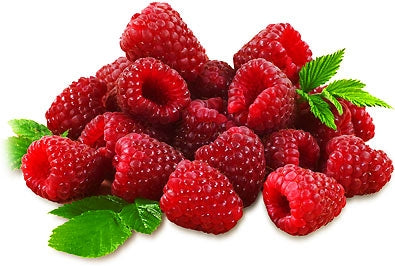 Raspberry, Red 'Latham' (Live Plant)