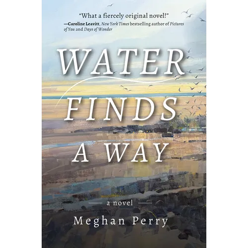 Water Finds a Way a Novel