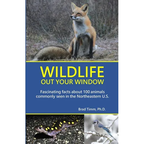 Wildlife Out Your Window: Fascinating Facts About 100 Animals Commonly Seen in the Northeastern U.S.