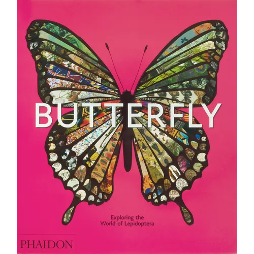 Butterfly: Exploring the World of Lepidoptera
