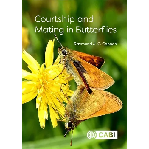 Courtship and Mating in Butterflies