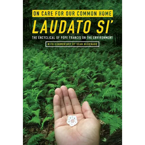 On Care for Our Common Home, Laudato Si': The Encyclical of Pope Francis on the Environment with Commentary by Sean McDonagh