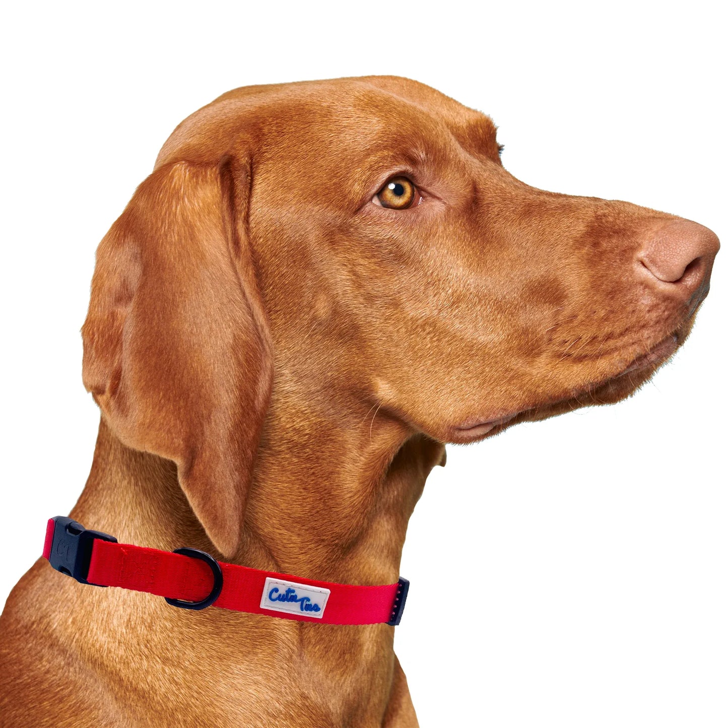 Red Dog Collar