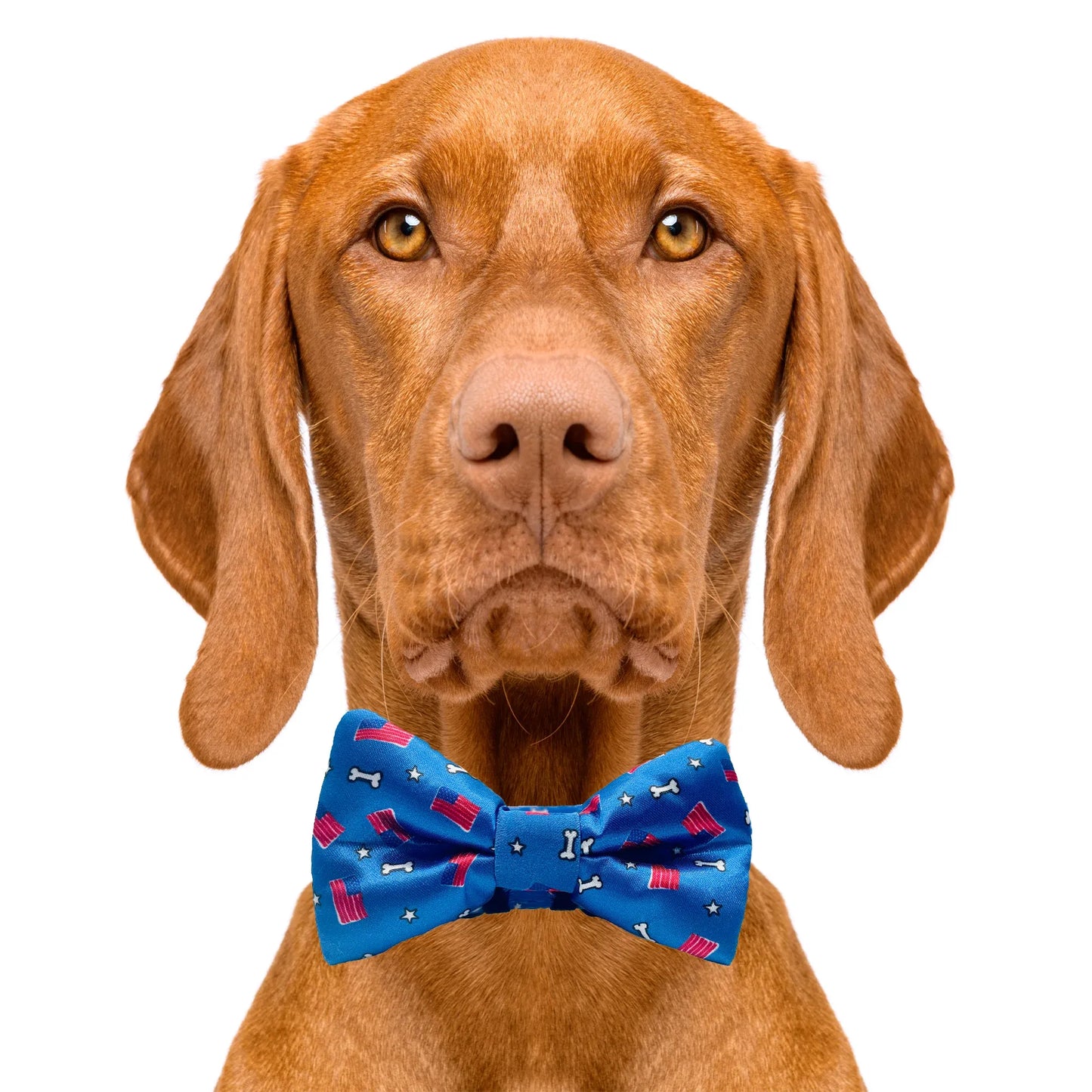 Red, White and Bones American Flag USA Dog Bow Tie