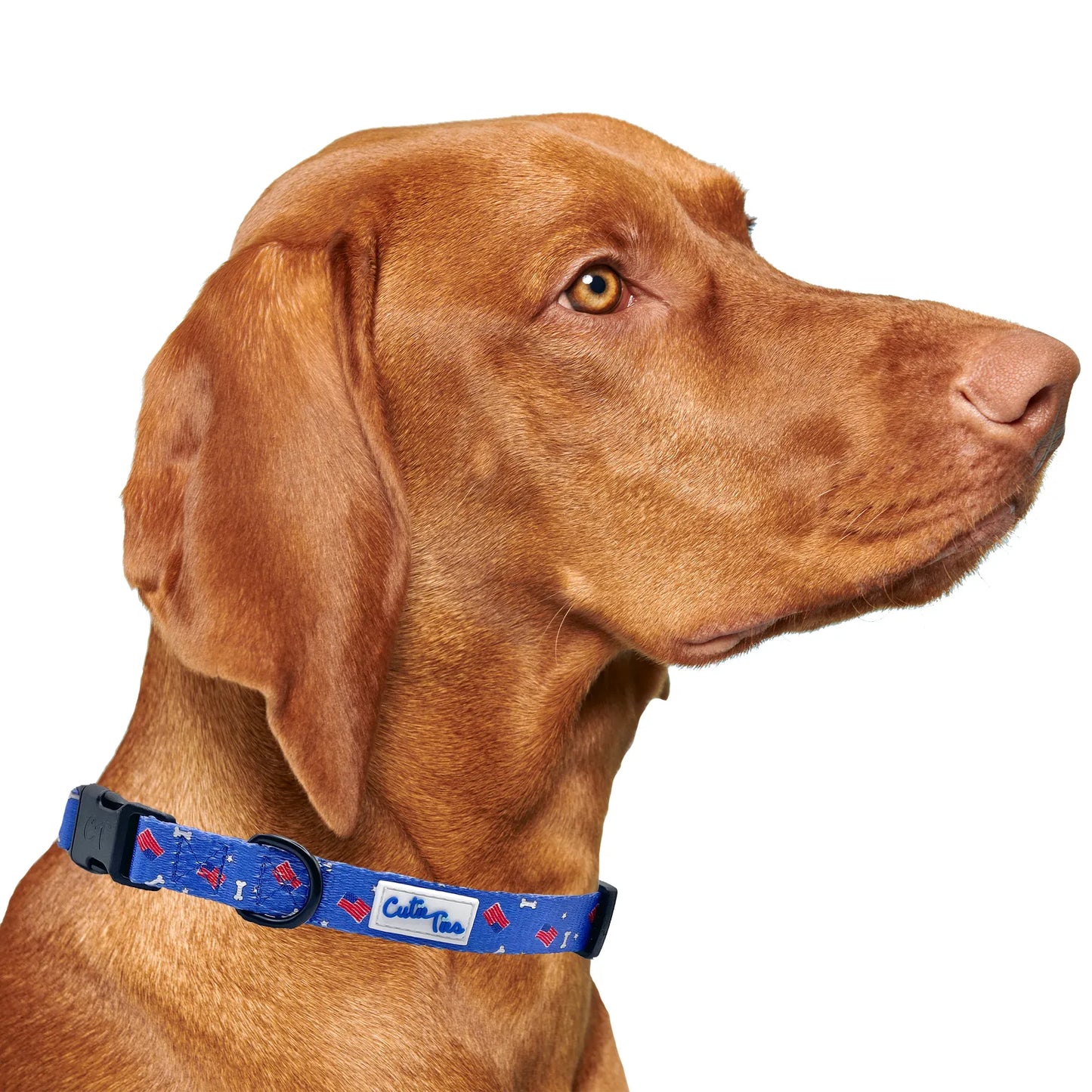 Red, White and Bones American Flag USA Dog Collar