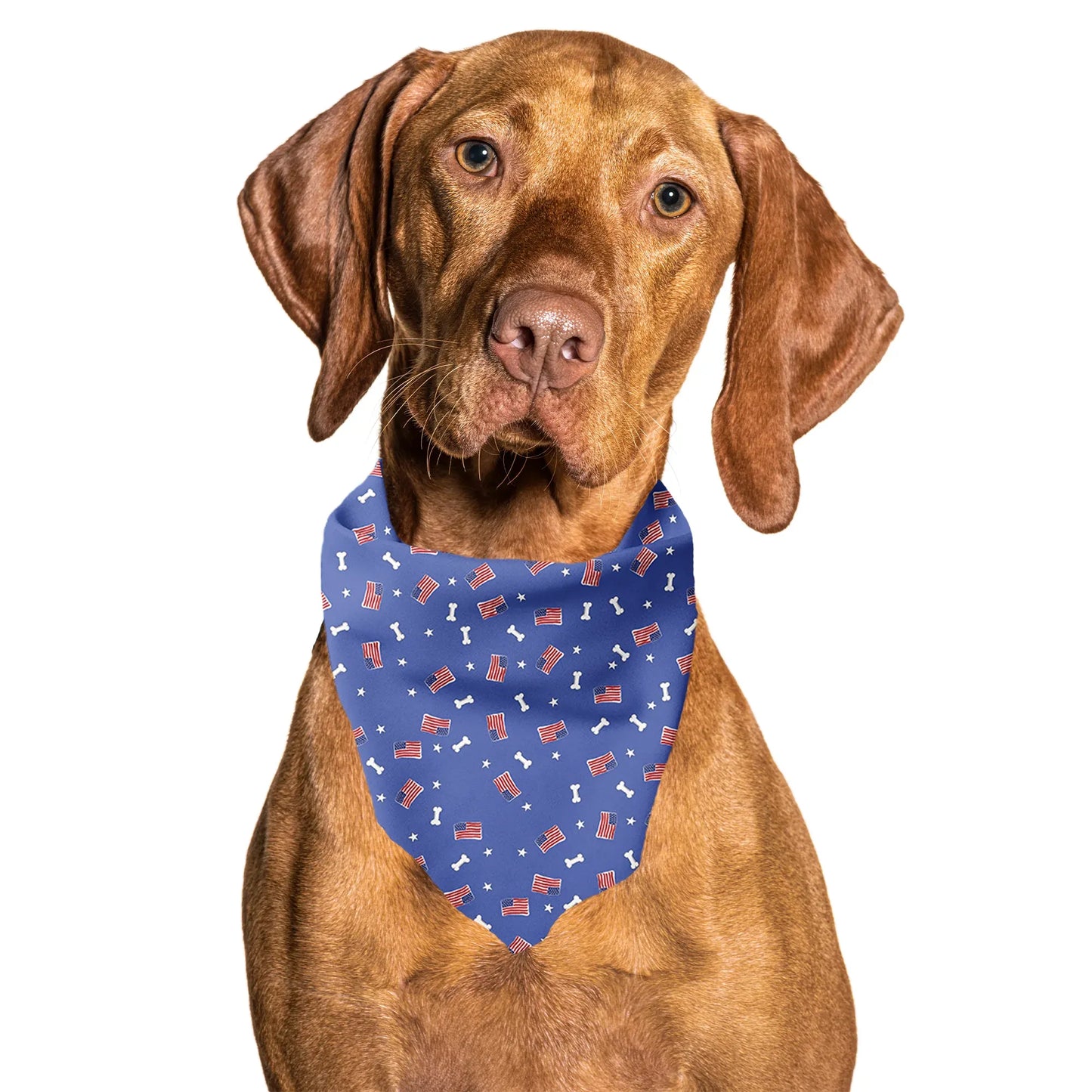 Red, White and Bones American Flag USA Tie On Dog Bandana