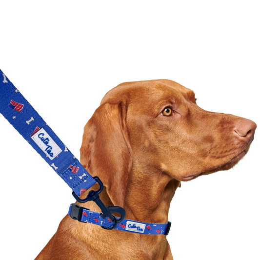 Red, White and Bones American Flag USA Dog Leash