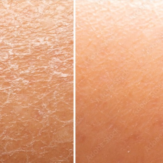 REFRESH Conditioning Body Oil