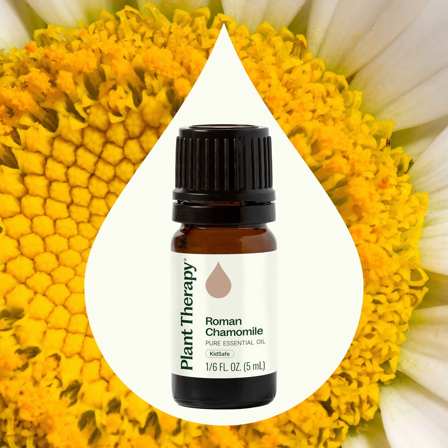 Roman Chamomile Essential Oil