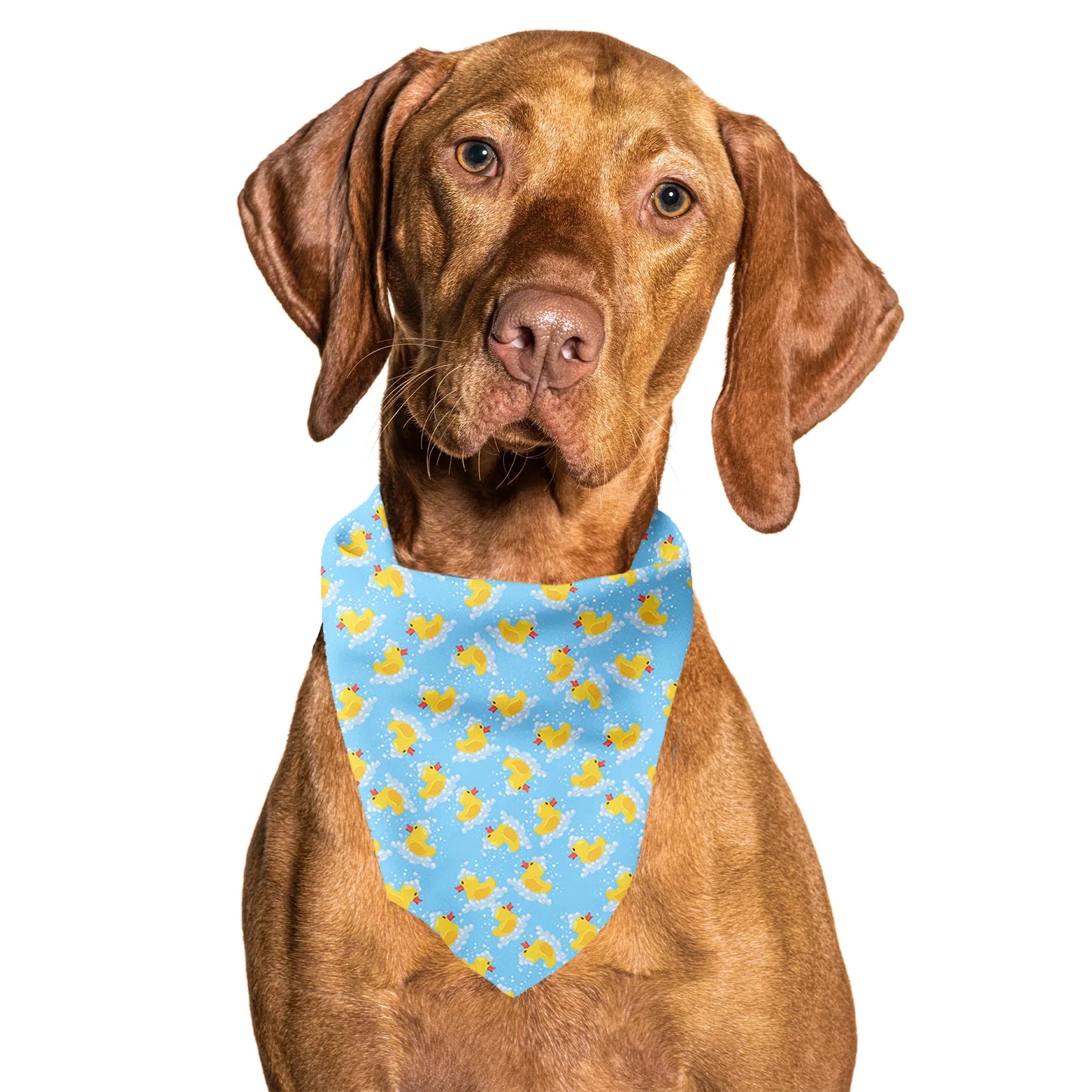 Rubber Duckies Tie On Dog Bandana