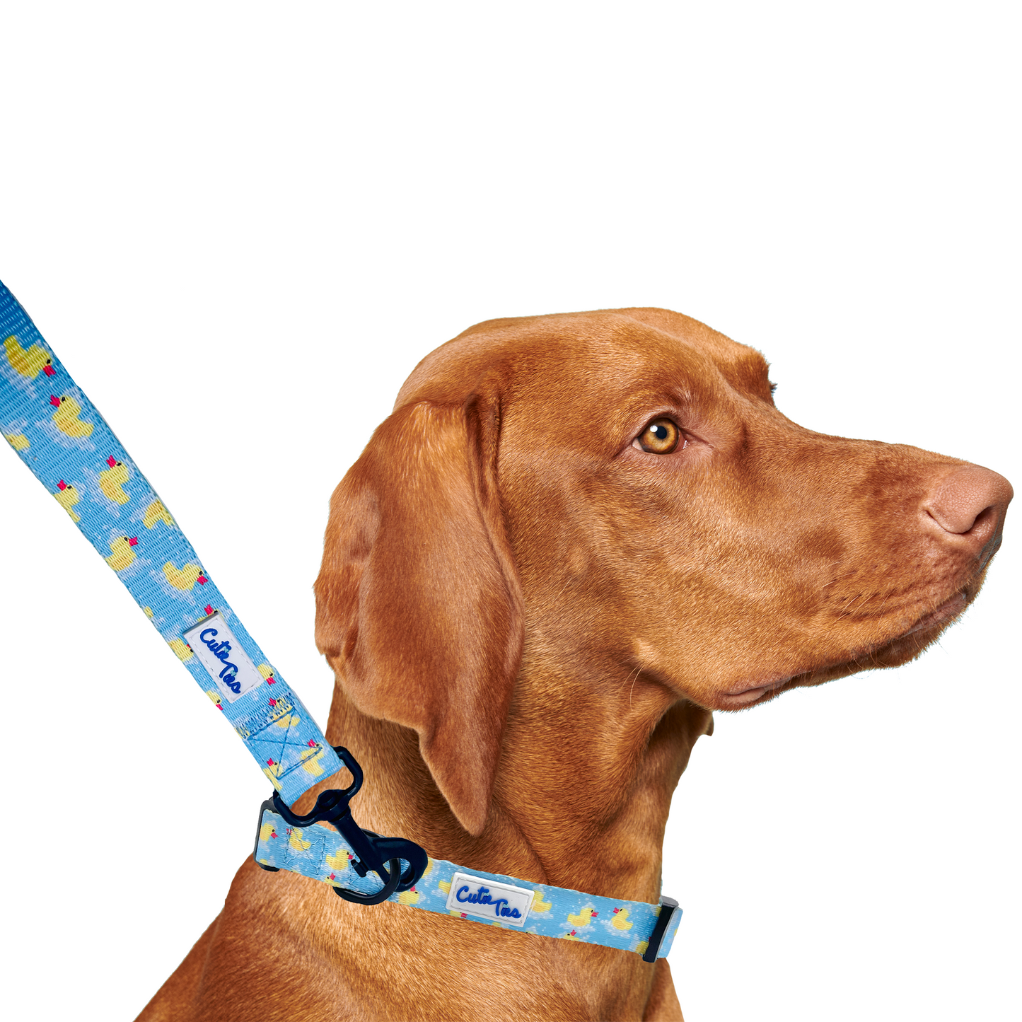 Rubber Duckies Dog Leash