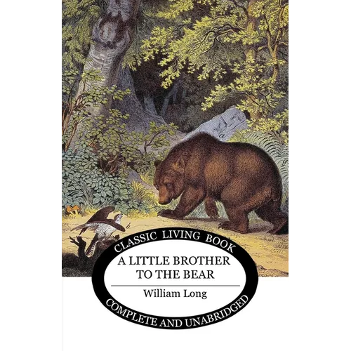 Little Brother to the Bear