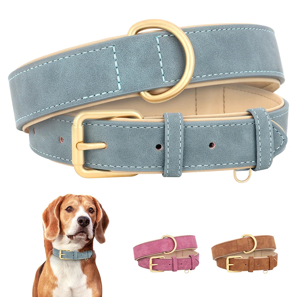 Durable Soft Padded Leather Dog Collar – Adjustable for All Sizes