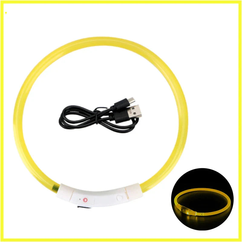 USB Rechargeable LED Glowing Dog Collar – Adjustable Night Safety