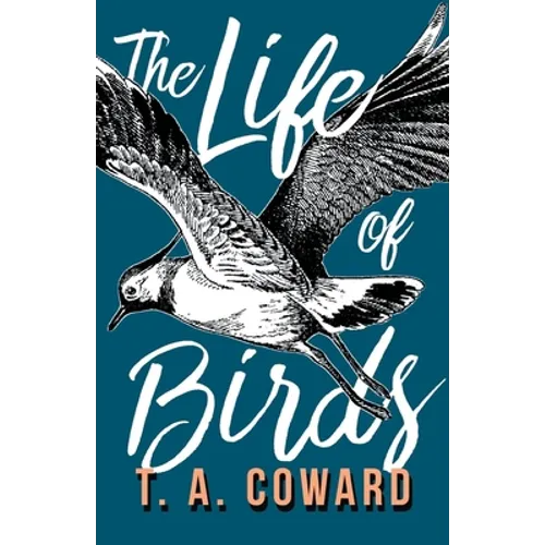 The Life of Birds