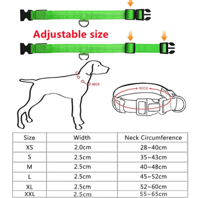 USB Rechargeable LED Glowing Dog Collar – Adjustable Night Safety