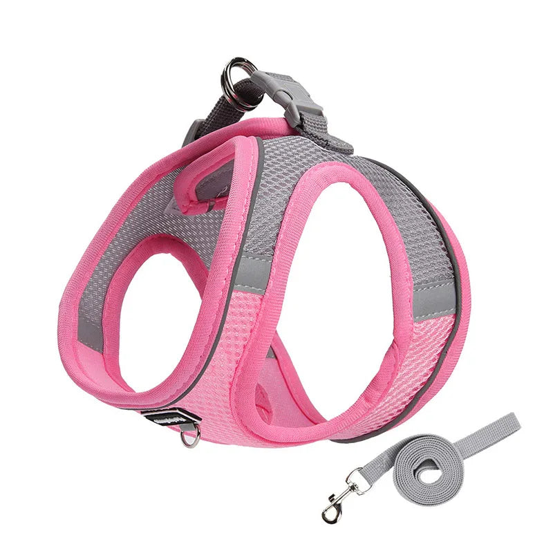 Adjustable Dog Harness & Leash Set for Small Dogs – Comfortable & Safe Walking Gear