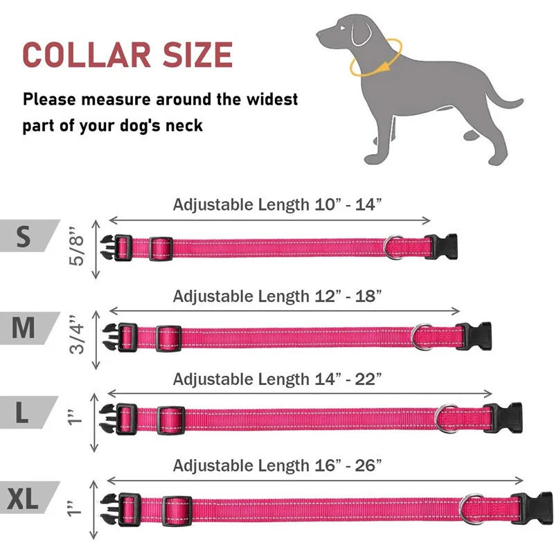 Reflective Adjustable Nylon Dog Collar Strap – Safety Traction Rope