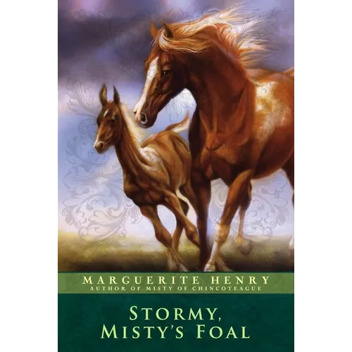 Stormy, Misty's Foal