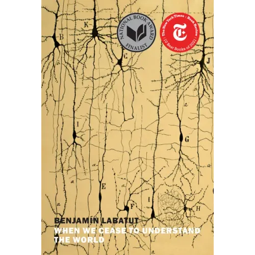 When We Cease to Understand the World