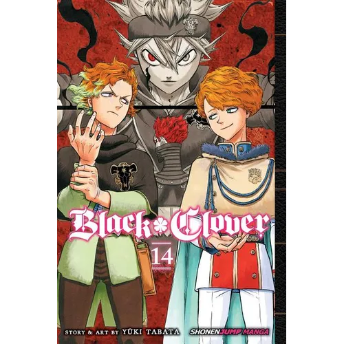 Black Clover, Vol. 14: Gold and Black Sparks