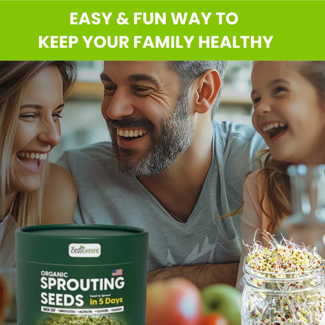 Mixed Sprouting Seeds Organic