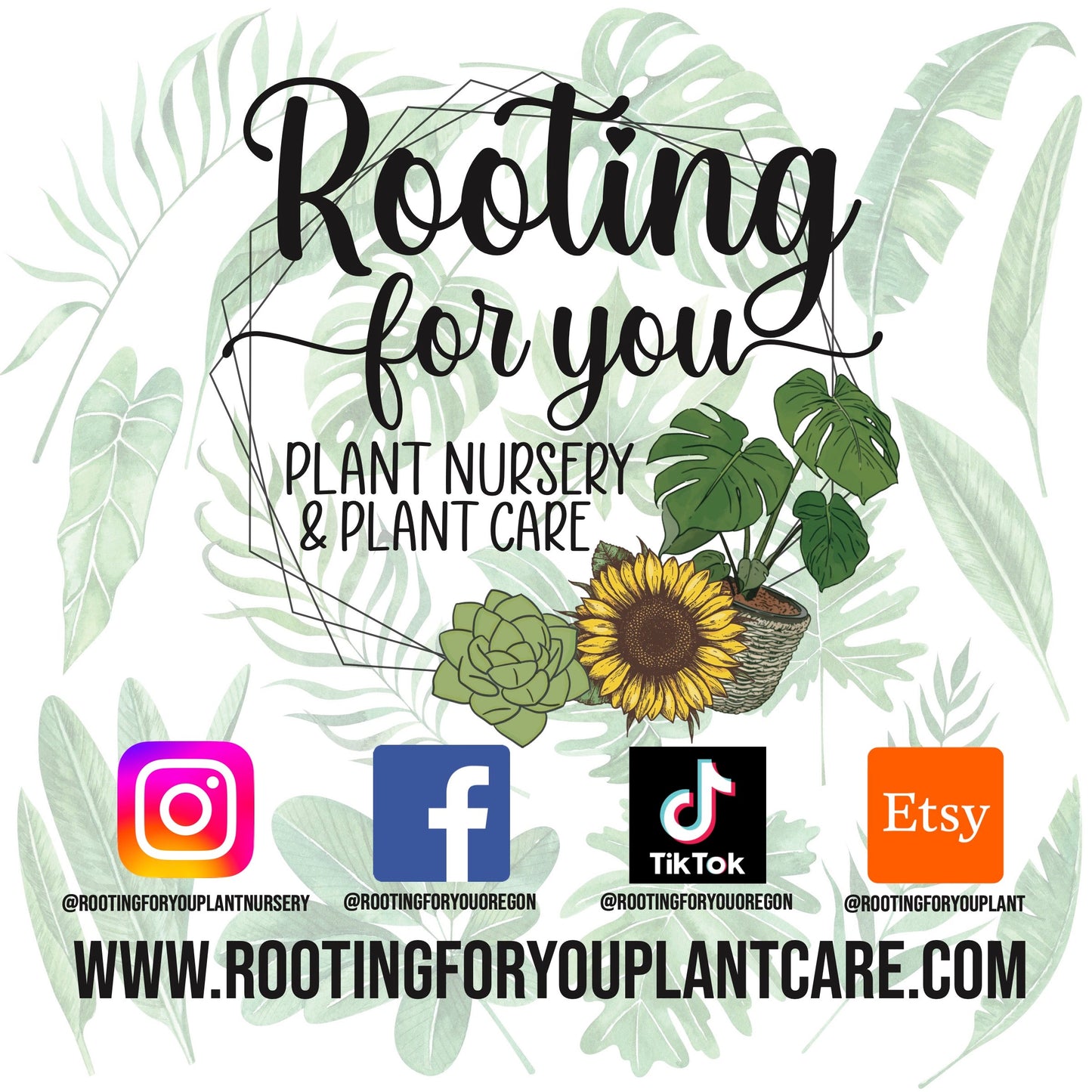 Persimmon Premium Potting Mix