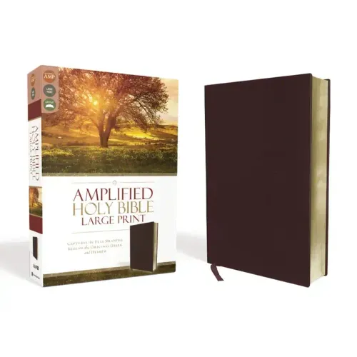 Amplified Bible-Am-Large Print: Captures the Full Meaning Behind the Original Greek and Hebrew
