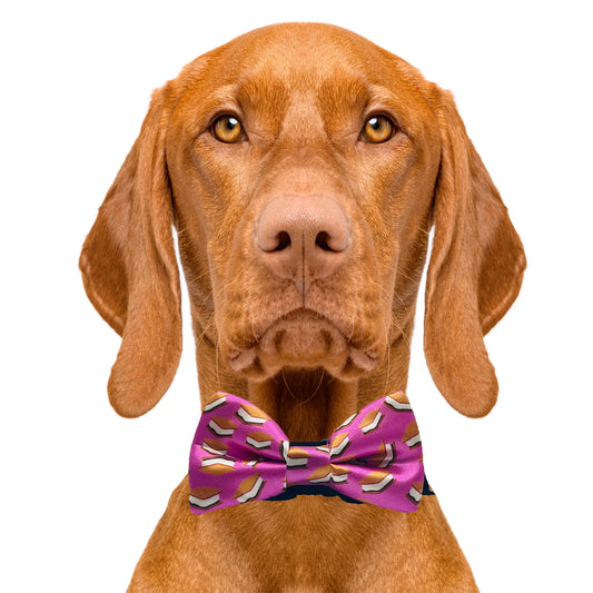 S'mores Purple Dog Bow Tie