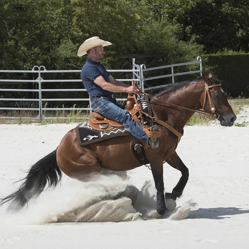 WESTRIDE – Saddle by Franck Perret – Aurora