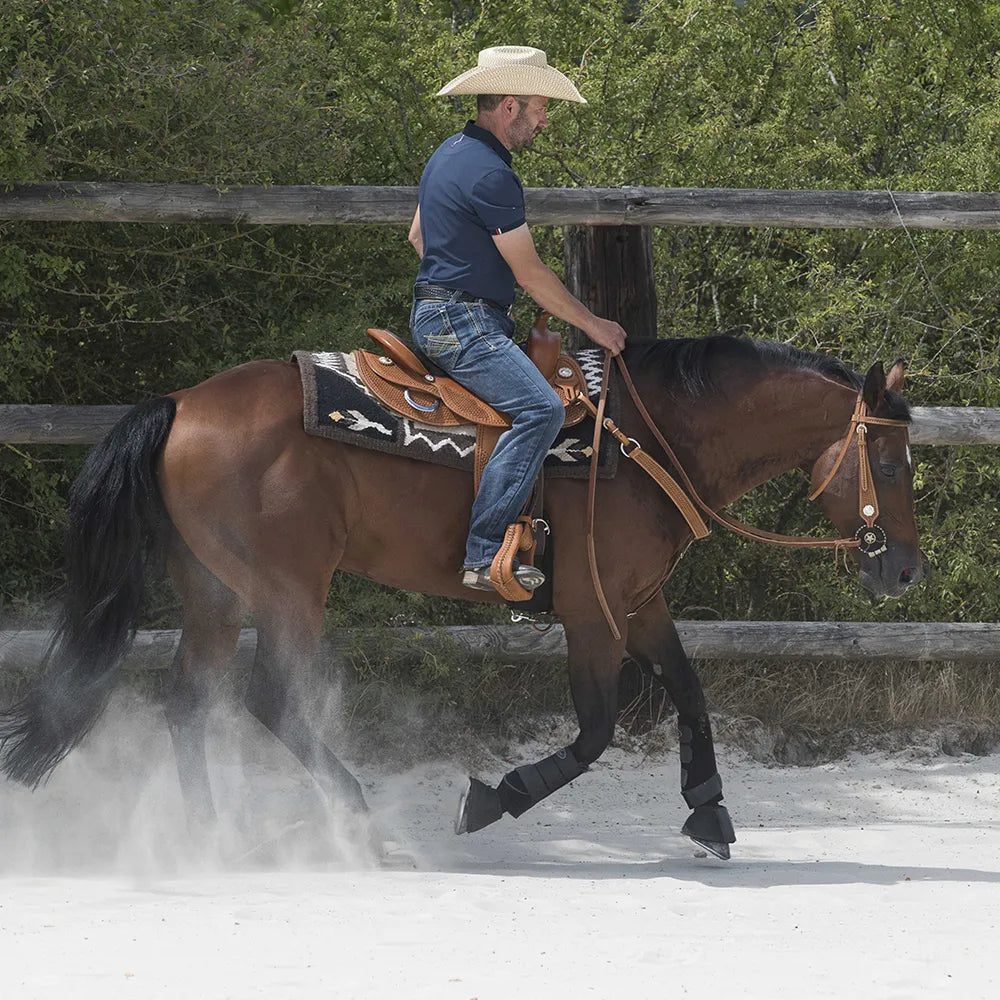 WESTRIDE – Saddle by Franck Perret – Aurora