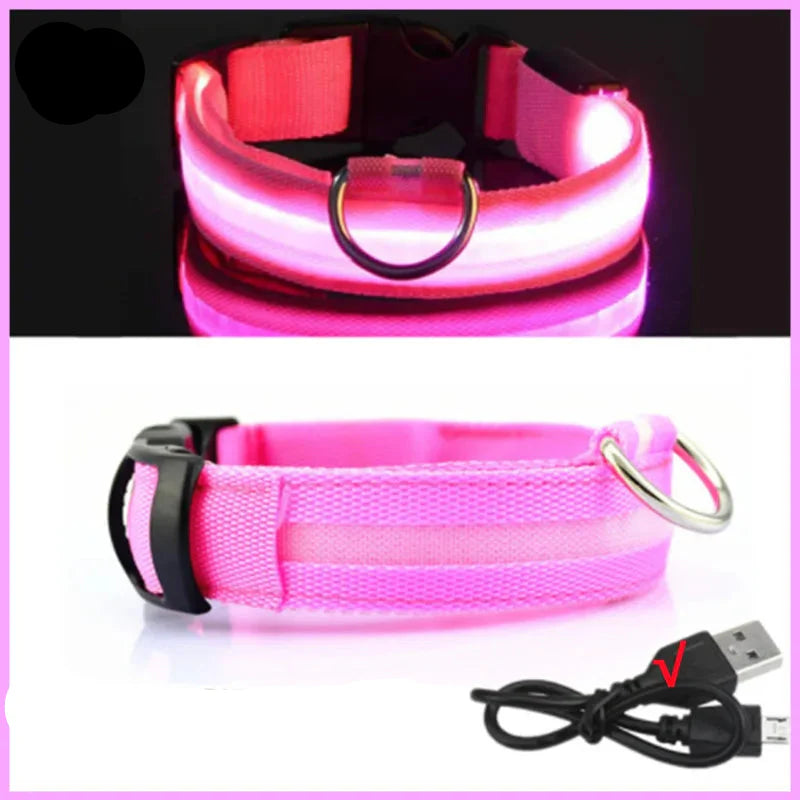 USB Rechargeable LED Glowing Dog Collar – Adjustable Night Safety