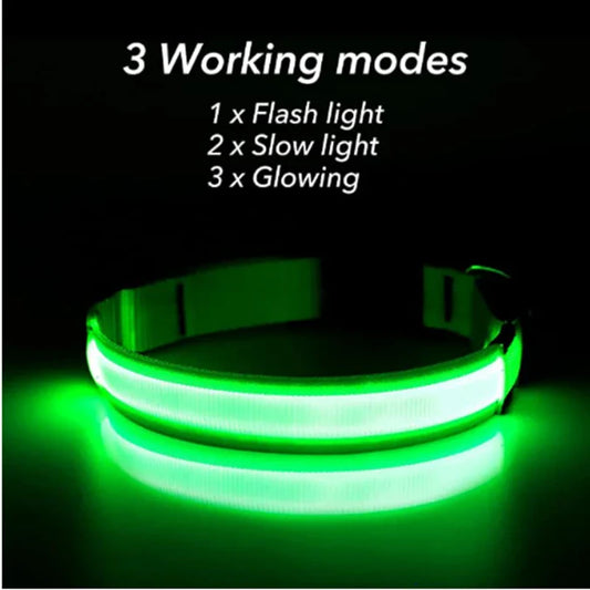 USB Rechargeable LED Glowing Dog Collar – Adjustable Night Safety