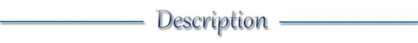 USB Rechargeable LED Glowing Dog Collar – Adjustable Night Safety