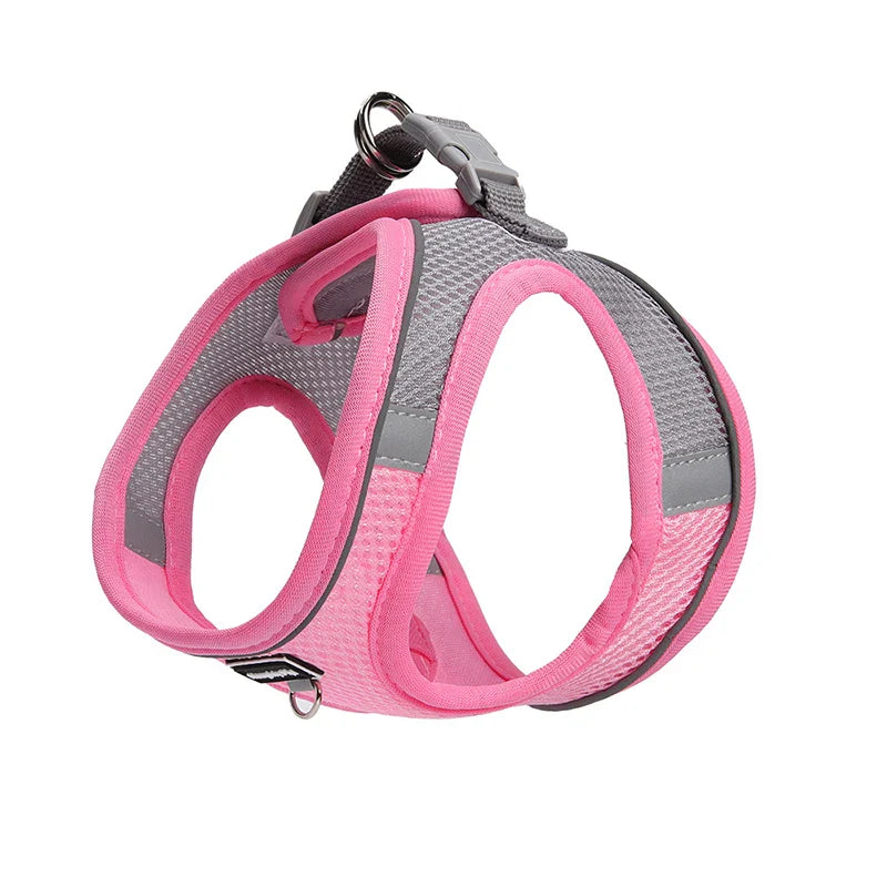 Adjustable Dog Harness & Leash Set for Small Dogs – Comfortable & Safe Walking Gear