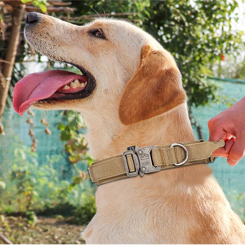 Durable Nylon Dog Collar & Reflective Leash Set – Tactical Training